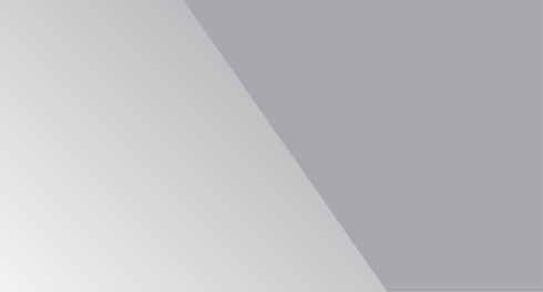 MAURIS DAPIBUS ELITAT